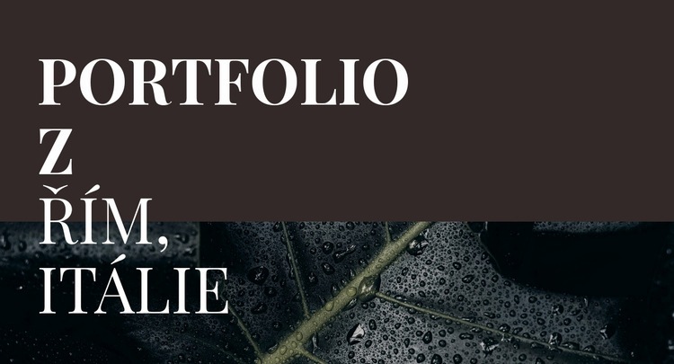 Naše umělecké portfolio Šablona CSS