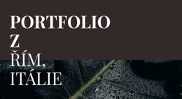 Naše Umělecké Portfolio – Šablona HTML A CSS