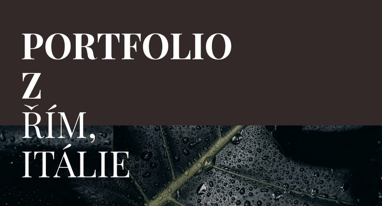 Naše umělecké portfolio Šablona HTML