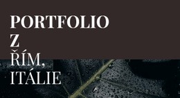 Naše Umělecké Portfolio – Stažení Šablony Webu