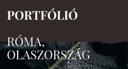 Ingyenes Webdesign Művészeti Portfóliónk Számára