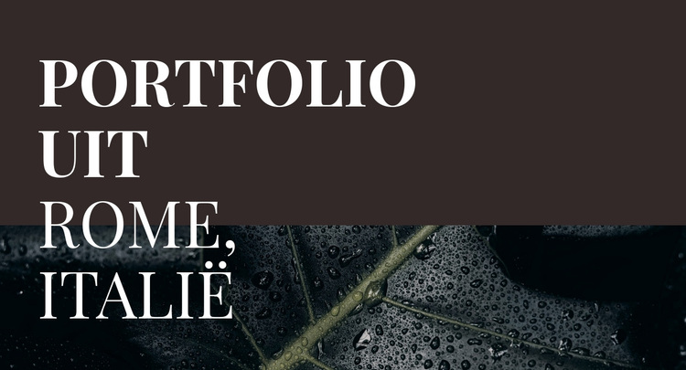 Ons kunstportfolio WordPress-thema