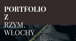 Nasze Portfolio Dzieł Sztuki Darmowy Szablon Strony Internetowej CSS