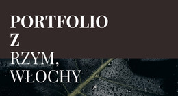 Nasze Portfolio Dzieł Sztuki - Szablon HTML I CSS