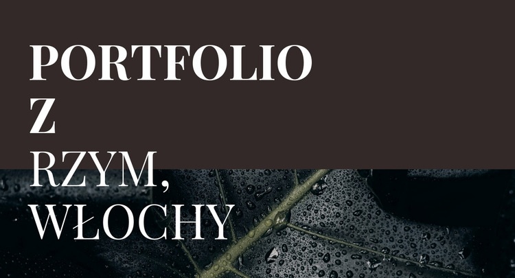 Nasze portfolio dzieł sztuki Szablon HTML5