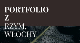 Nasze Portfolio Dzieł Sztuki - Szablon Projektu Strony Internetowej