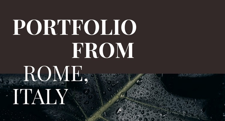 Our art portfolio Webflow Template Alternative