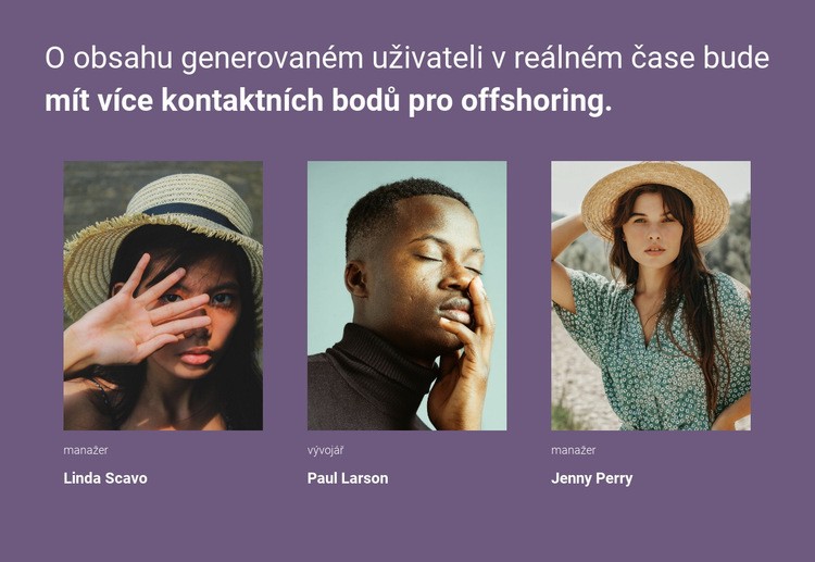 Naši asistenti Šablona CSS