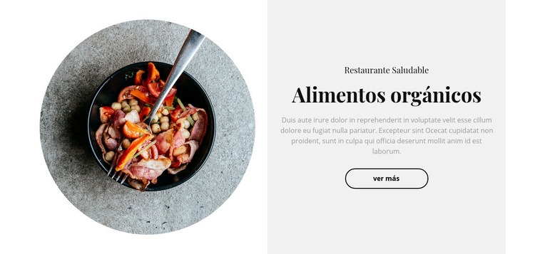La comida picante Diseño de páginas web