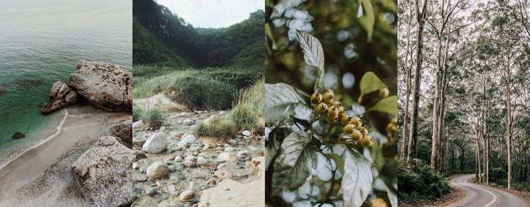 Galería con foto de la naturaleza Página de destino