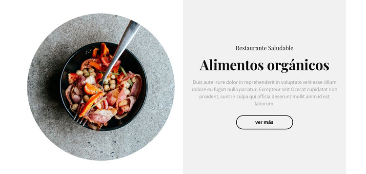 La comida picante Plantilla HTML