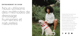 Promener Le Chien - Modèle De Page HTML