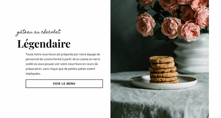 Nourriture de gâteau au chocolat Modèle HTML