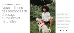 Promener Le Chien – Thème WordPress Et WooCommerce