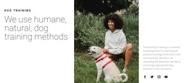 Dog Walking - Responsive Website Templates