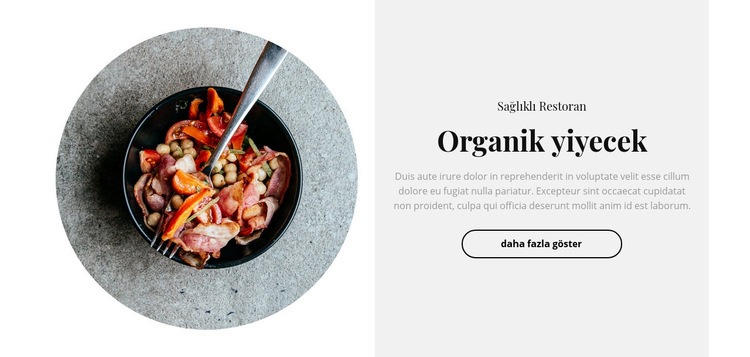 Baharatlı yemek Web sitesi tasarımı