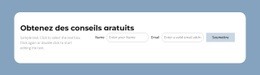 Obtenez Des Conseils Gratuits - Maquette De Site Web Simple