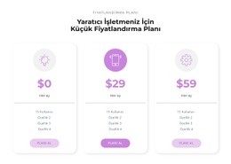 Satın Alma Seçenekleri - Web Sitesi Şablonları