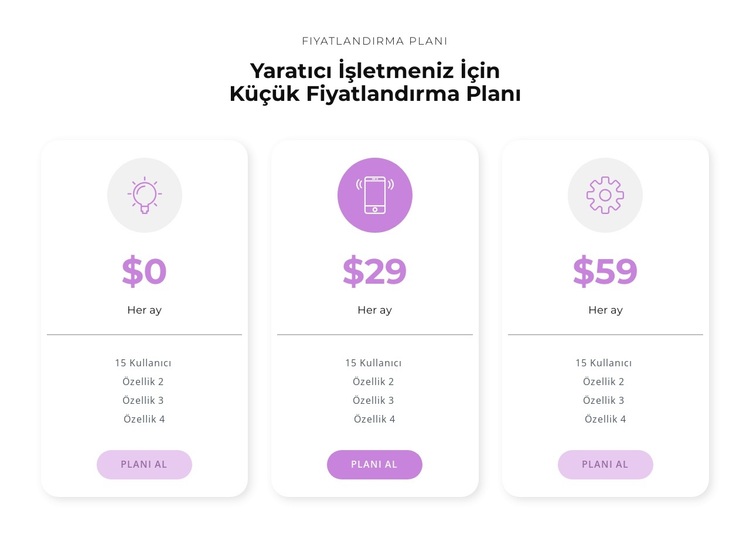 Satın alma seçenekleri WordPress Teması