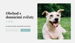 Kupte Svému Psovi Všechno – Bezplatný Motiv WordPress