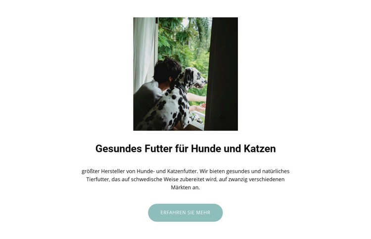 Futter für Haustiere Website Builder-Vorlagen