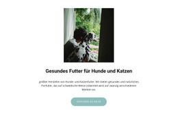 Futter Für Haustiere - Modernes Website-Design