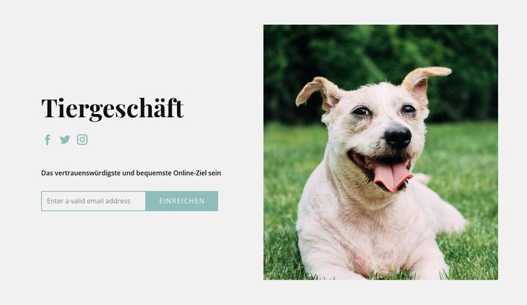 Kaufen Sie alles für Ihren Hund Website-Modell