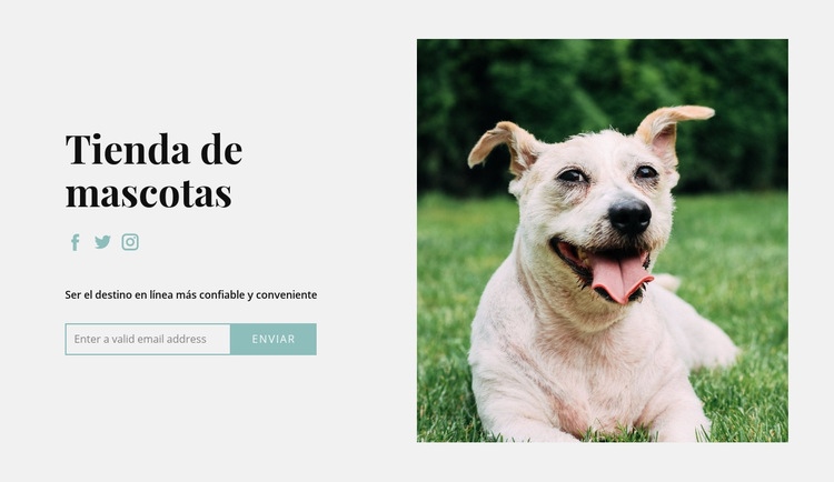 Compra todo para tu perro Plantillas de creación de sitios web