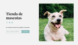 Plantilla De Diseño Gratuita Para Compra Todo Para Tu Perro