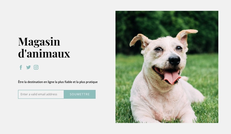Achetez tout pour votre chien Maquette de site Web