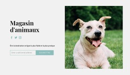 Achetez Tout Pour Votre Chien