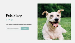 Buy Everything For Your Dog - Site Template