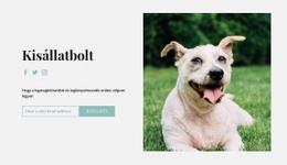 Vásároljon Mindent A Kutyájának - HTML Oldalsablon