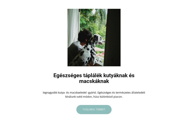 Eledel háziállatoknak Weboldal sablon