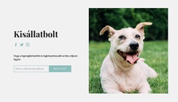 Vásároljon Mindent A Kutyájának – Ingyenes WordPress Téma