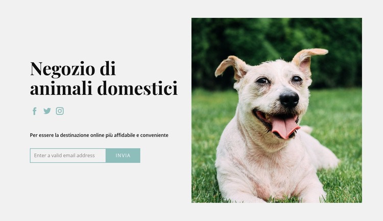 Compra tutto per il tuo cane Costruttore di siti web HTML