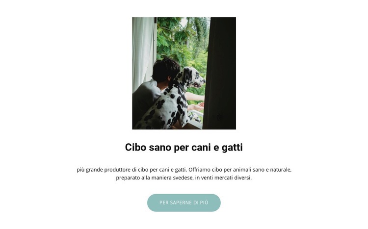 Cibo per animali domestici Progettazione di siti web