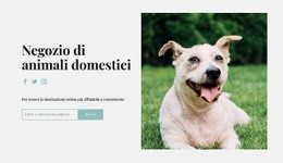 Compra Tutto Per Il Tuo Cane Velocità Google