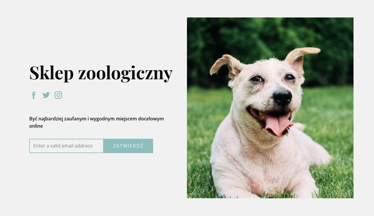 Kup wszystko dla swojego psa Kreator witryn internetowych HTML