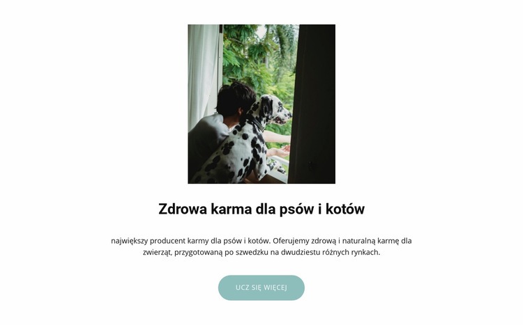 Karma dla zwierząt Makieta strony internetowej