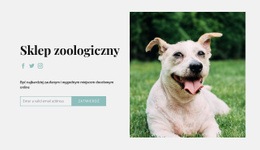 Kup Wszystko Dla Swojego Psa - Darmowy Motyw WordPress