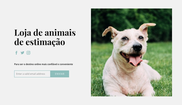 Compre tudo para o seu cachorro Modelos de construtor de sites