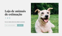 Design De Site Para Compre Tudo Para O Seu Cachorro