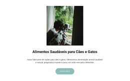 Modelo HTML5 Multifuncional Para Comida Para Animais De Estimação