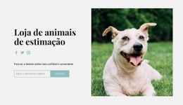 Compre Tudo Para O Seu Cachorro - Modelo De Site Joomla