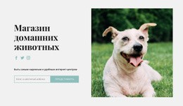 Дизайн Веб-Сайта Для Купите Все Для Своей Собаки
