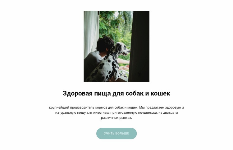 Корм для домашних животных Конструктор сайтов HTML