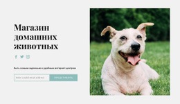 Купите Все Для Своей Собаки – Шаблон HTML-Страницы