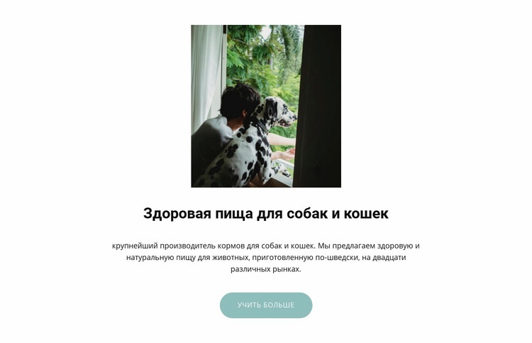 Корм для домашних животных HTML шаблон