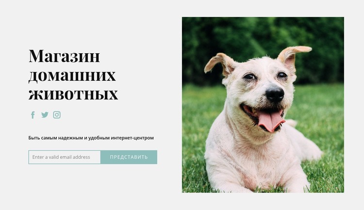Купите все для своей собаки Шаблон веб-сайта